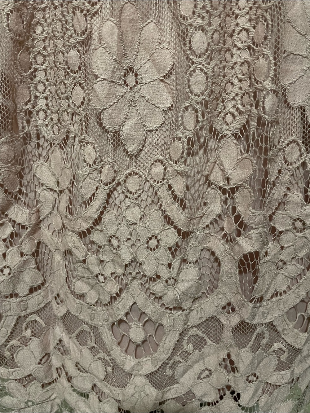 Suzanne Betro Dusty Rose Lace Crochet Puff Sleeve Top - Picture 4 of 7